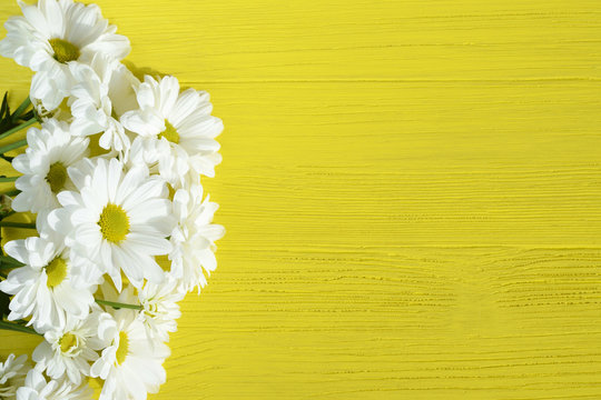 Beautiful chrysanthemum flowers on a yellow wooden background. White marguerites. Top view. Copy space