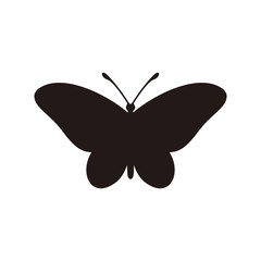 Butterfly icon vector