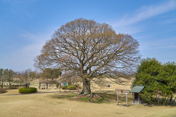 もおか鬼怒公園ゴルフ倶楽部