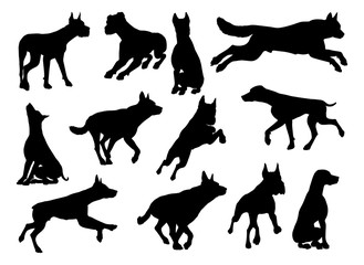 A set of detailed animal silhouettes of a pet dog