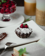 Chocolate cake with icing sugar and raspberries