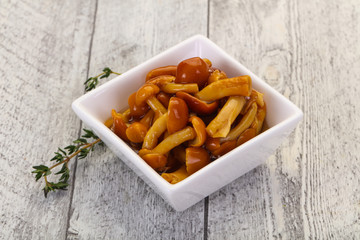 Pickled honey agaric