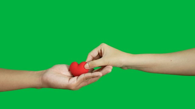 4K. volunteer hand giving red heart on the other hand for donation  isolated on chroma key green screen