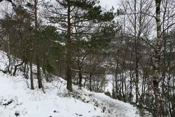 Preikestulen (Pulpit Rock) with snow in Norway in the spring