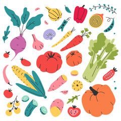 Doodle hand drawn collection of vegetables. Doodle style food set of organic products for retail, farming, market or fair. Isolated vector illustrations of tasty fresh organic food for restarant, menu