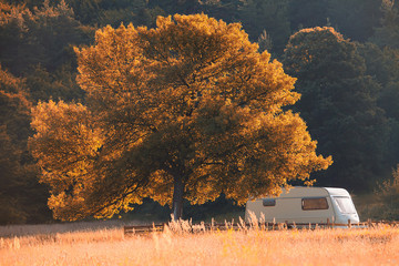 Caravan trailer parked near alone tree forest in autumn. Red autumn forest wallpaper