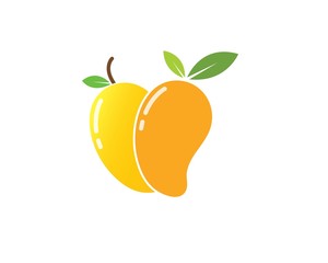 mango fruit vector illustration