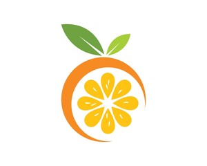 orange fruit icon vector logo illustration