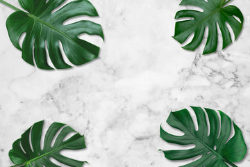 Green leaf background. Tropical leaves Monstera on white-gray marble pattern tiles background. Concept of nature in design