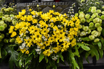 flowers Tropical leaves foliage plant bush floral arrangement nature clipping path included.