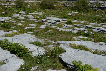 Rock formation in National Park, Ireland