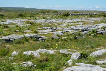 Rock formation in National Park, Ireland