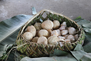The Samoans traditionally based their diet on breadfruit, taro and yam.