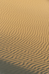 Sand background texture in Thar desert. Jaisalmer. India