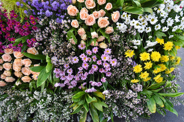 flowers Tropical leaves foliage plant bush floral arrangement nature clipping path included.