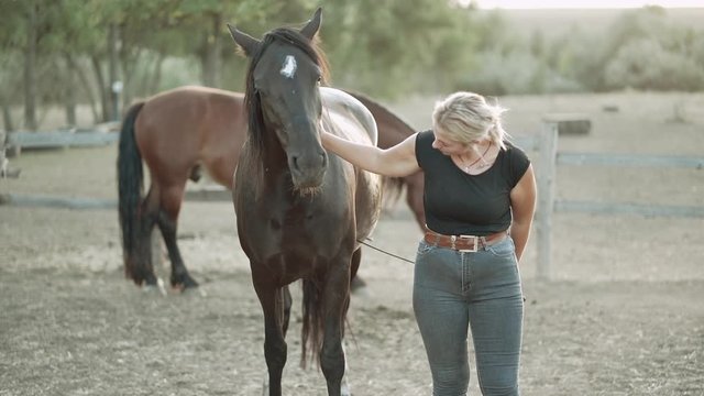 Young woman trains horse in corral on ranch. Concept of farm animals, training, horse racing, nature. Slow motion.