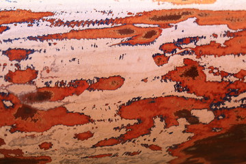 rhythm of nature and the beauty of the leaves