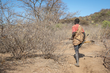 hadzabe man with his bow and arrow going for a hunt
