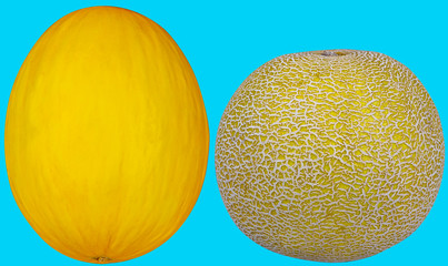 Honigmelone und Zuckermelone