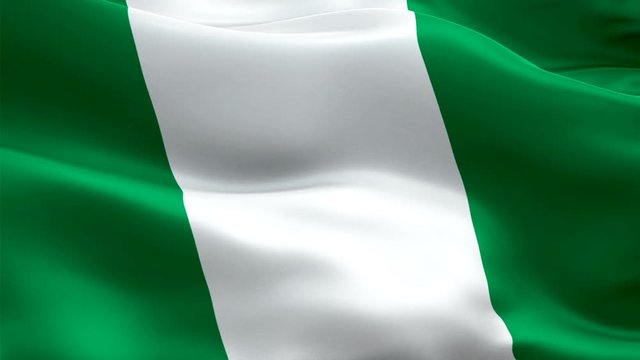 Nigerian flag Closeup 1080p Full HD 1920X1080 footage video waving in wind. National Abuja 3d Nigerian flag waving. Sign of Nigeria seamless loop animation. Nigerian flag HD resolution Background 1080