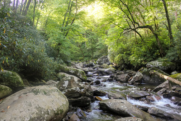 Obraz premium River covered by forest in Smoky mountains in North Carolina, USA