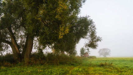 Jesienny poranek w Dolinie Narwi, Podlasie, Polska © podlaski49