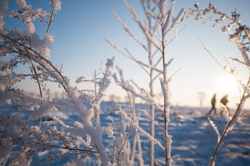 Beautiful morning rime in northern China