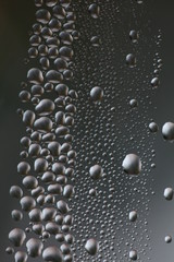 the face of nature flowers and drops of water