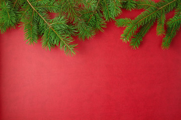 Border made of christmas pine tree over red background