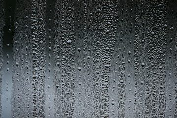 the face of nature flowers and drops of water