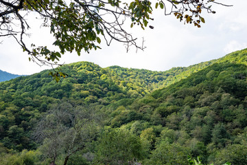 Mountains and forests of Abkhazia.