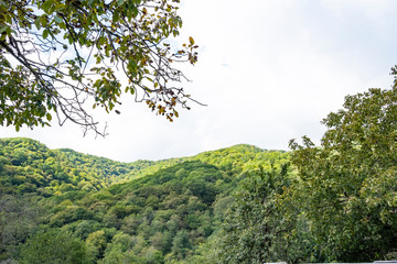 Mountains and forests of Abkhazia.
