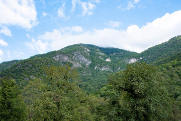 Mountains and forests of Abkhazia.