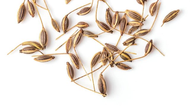 panning dried Caraway seeds isolated on white background. top view