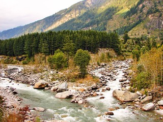 Tributaries of river Beas flowing from the high mountains at Manali, Himachal Pradesh, India