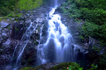 Waterfall In Forest | Coban Trisula, Malang, East Java, Indonesia