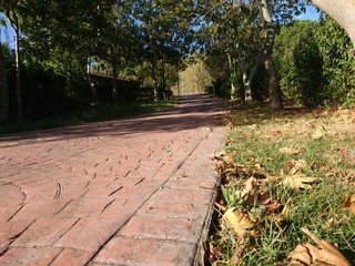 Leaves on sidewalk in park at autumn