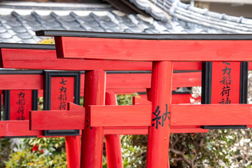 Fototapeta na wymiar 神社の鳥居