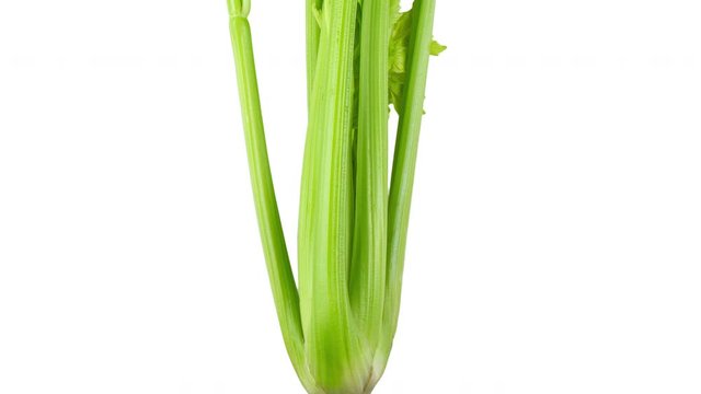 panning celery isolated on white background. top view