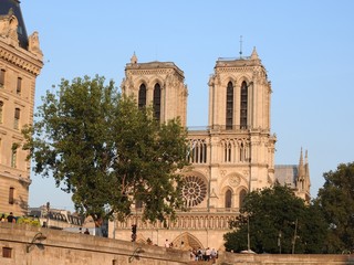 Fototapeta na wymiar Notre Dame, the most beautiful Cathedral in Paris. View from the river Seine, France.