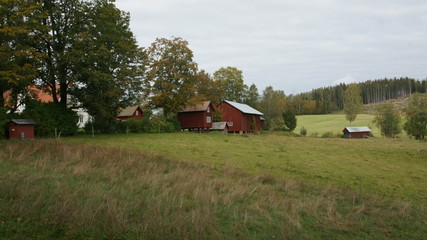 Landscape in Östra Ämtervik, Sunne, Sweden