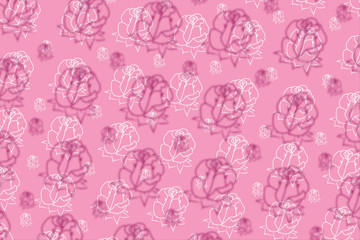 white flower Rose pattern background, illustration.