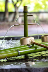 Obraz premium 日本のつくばい 和風イメージ