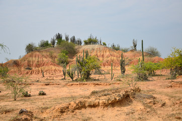 Blick auf die Tatacoa-Wüste