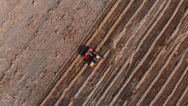 orange cropper pours grain into truck standing on field