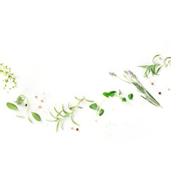 Culinary aromatic herbs on a white background, a flat lay composition with copy space, a cooking design template, square overhead shot