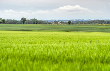 Obraz premium rural scenery in Hohenlohe