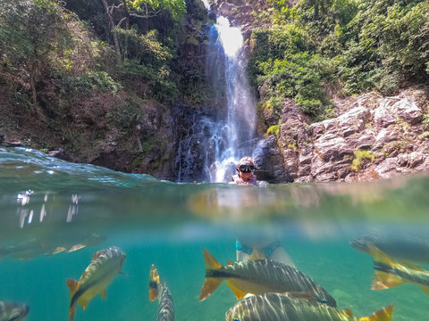 Woman snorkeling in a crystal clear waterfall pool in the brazilian rainforest, watching tropical fishes underwater, Bom Jardim, Mato Grosso, Brazil