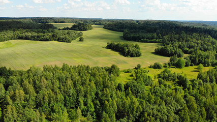 Aerial View Of A  Forest During Summer Season