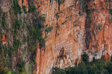 Fototapeta na wymiar Close up of a steep cliff edge with green vegetation, Chapada dos Guimarães, Mato Grosso, Brazil, South America